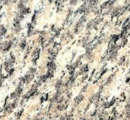 Tiger Skin White.jpg 432x400